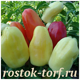 Перец сладкий Бонета, 5 шт семян