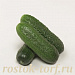 Big pack Огурец партенокарпический Алекс F1, 25 семян