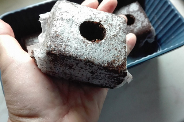 Советуем! КОКОСОВЫЕ БРИКЕТЫ JIFFY GROWBLOCK Это просто находка для выращивания рассады бахчевых культур! 