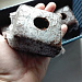 Советуем! КОКОСОВЫЕ БРИКЕТЫ JIFFY GROWBLOCK Это просто находка для выращивания рассады бахчевых культур! 
