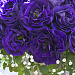 Эустома(Лизиантус) махровая (Eustoma grandiflorum) Arena Purple, 5 драже