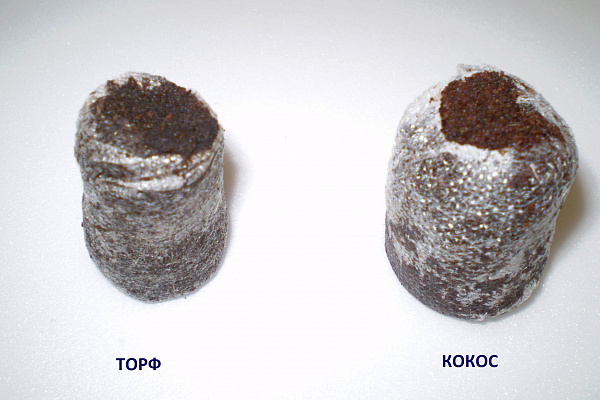 ТОРФ ИЛИ КОКОС? 