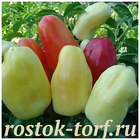Перец сладкий Бонета, 5 шт семян