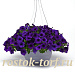 Петуния ампельная (Petunia trayling F1) Easy Wave Blue, 5 драже