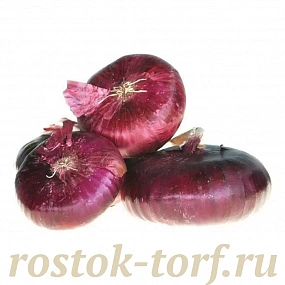 Лук репчатый Ялтинский, 50 семян