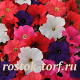 Петуния крупноцветковая (Petunia grandiflora F1) Ez Rider Mix, 5 драже