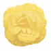 Бегония клубневая (Begonia tuberhybrida) Nonstop Lemon, 5 драже