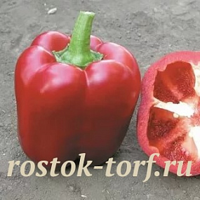 Перец сладкий Аристотель F1, 5 шт семян