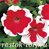 Петуния крупноцветковая (Petunia grandiflora) Hulahoop F1 Red,10 драже