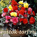 Бегония клубневая (Begonia tuberhybrida) Nonstop Mocca MIX, 5 драже