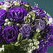 Эустома(Лизиантус) махровая (Eustoma grandiflorum) Croma F1 III Purple, 5 драже