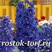 Дельфиниум высокий (Delphinium elatum) Guardian Blue, 3шт семян