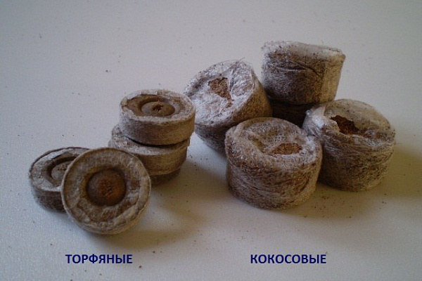 ТОРФ ИЛИ КОКОС? 