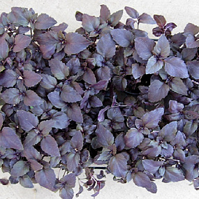 Базилик Рози, 0,2 гр.семян (~150-160 семян)