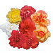 Бегония Begonia tuberhybrida Illumination®, Mix 3 драже