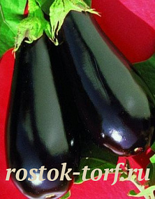 Big pack Баклажан Эпик F1, 25 обраб. семян