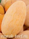 Дыня Прима(Радужная), 5 шт семян