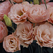 Эустома(Лизиантус) махровая (Eustoma grandiflorum) Arena Apricot, 5 драже