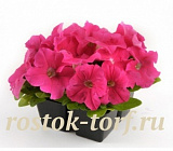 Петуния крупноцветковая (Petunia grandiflora F1) Ez Rider Deep Pink, 5 драже