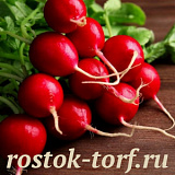 Редис Суперстар, 50 шт семян