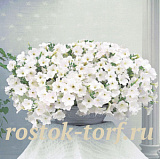 Петуния ампельная (Petunia trayling F1) Opera Supreme White, 5 драже