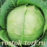 Капуста белокочанная Слава 1305, 10 шт семян