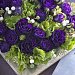 Эустома(Лизиантус) махровая (Eustoma grandiflorum) Croma F1 III Purple, 5 драже